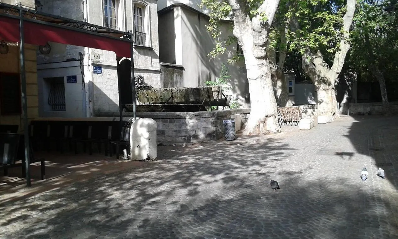 Guest house Chambre Sur Jardin Secret - Avignon Centre - Climatisee