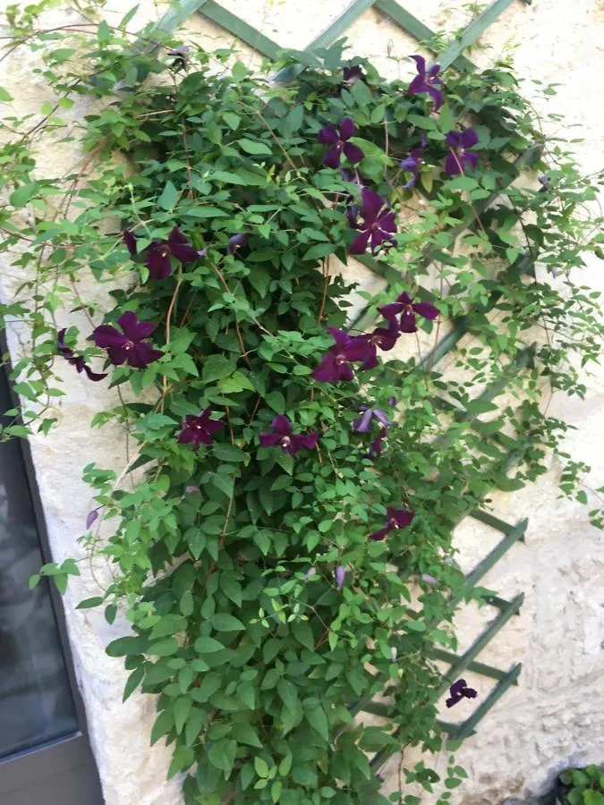 Guest house Chambre Sur Jardin Secret - Avignon Centre - Climatisee
