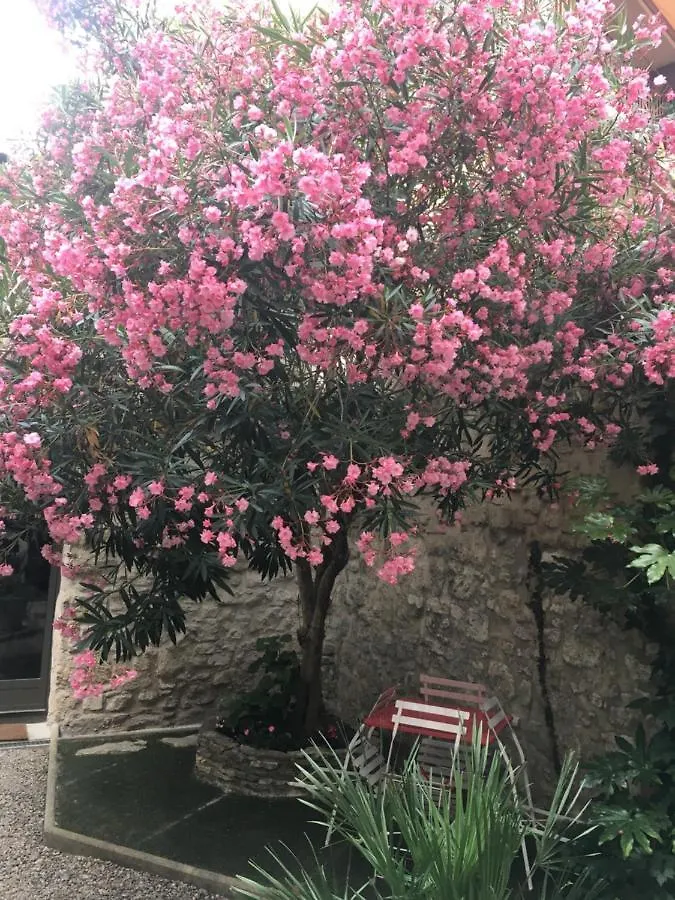 Chambre Sur Jardin Secret - Avignon Centre - Climatisee 0*,